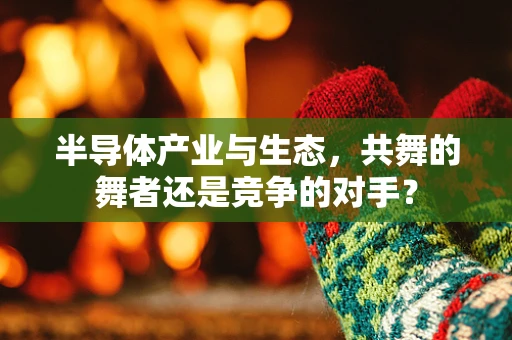 半导体产业与生态，共舞的舞者还是竞争的对手？