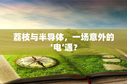 荔枝与半导体，一场意外的‘电’遇？