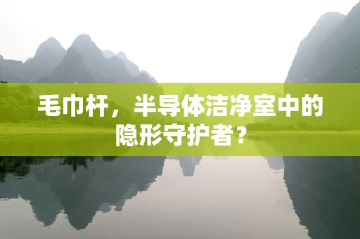 毛巾杆，半导体洁净室中的隐形守护者？