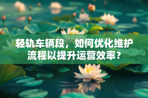 轻轨车辆段，如何优化维护流程以提升运营效率？