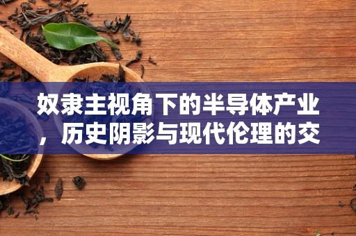 奴隶主视角下的半导体产业，历史阴影与现代伦理的交织