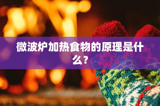 微波炉加热食物的原理是什么？