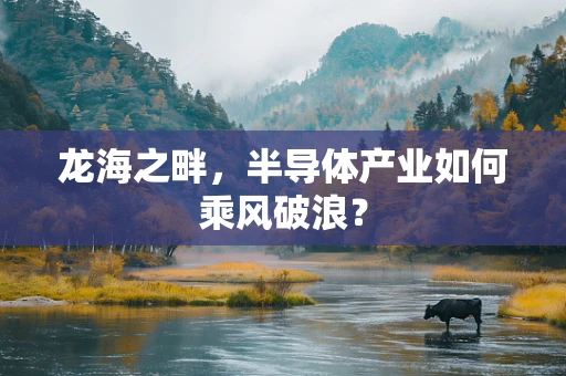 龙海之畔，半导体产业如何乘风破浪？