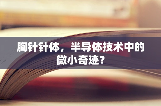胸针针体，半导体技术中的微小奇迹？