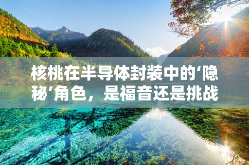 核桃在半导体封装中的‘隐秘’角色，是福音还是挑战？