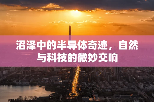 沼泽中的半导体奇迹，自然与科技的微妙交响