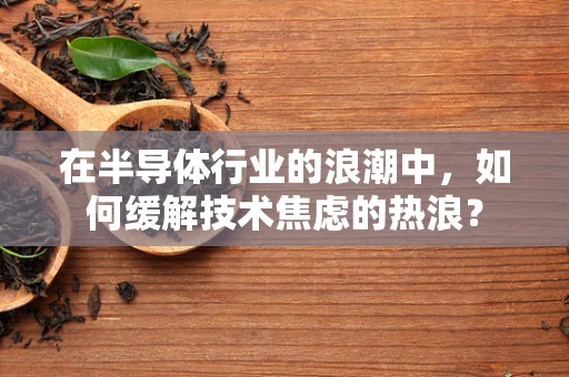在半导体行业的浪潮中，如何缓解技术焦虑的热浪？