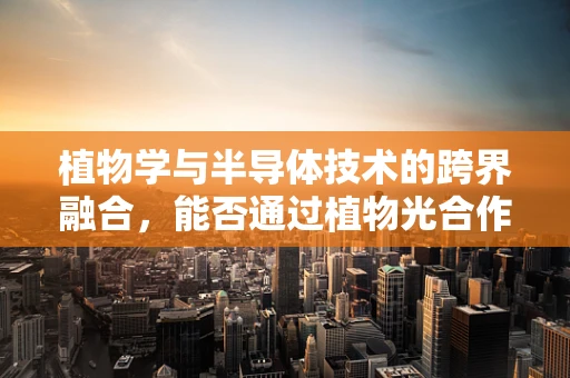 植物学与半导体技术的跨界融合，能否通过植物光合作用原理提升太阳能电池效率？