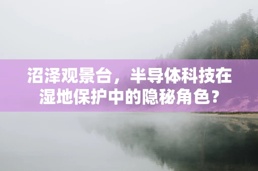 沼泽观景台，半导体科技在湿地保护中的隐秘角色？