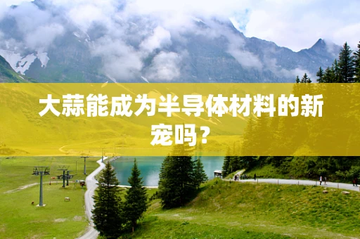 大蒜能成为半导体材料的新宠吗？