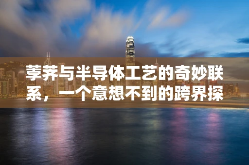 荸荠与半导体工艺的奇妙联系，一个意想不到的跨界探索