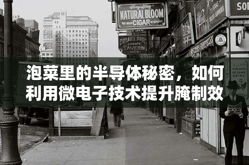 泡菜里的半导体秘密，如何利用微电子技术提升腌制效率？