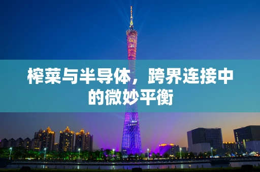 榨菜与半导体，跨界连接中的微妙平衡