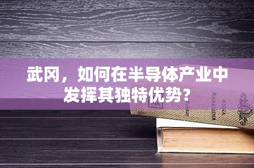 武冈，如何在半导体产业中发挥其独特优势？