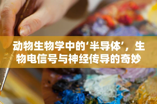 动物生物学中的‘半导体’，生物电信号与神经传导的奇妙联系