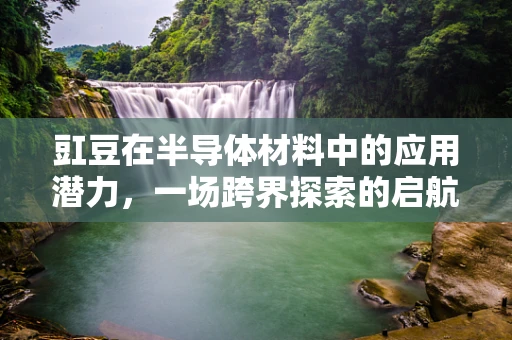 豇豆在半导体材料中的应用潜力，一场跨界探索的启航？