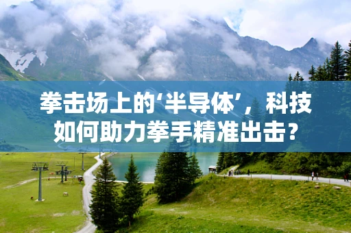 拳击场上的‘半导体’，科技如何助力拳手精准出击？