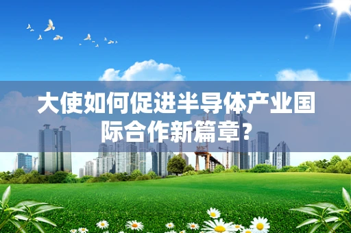 大使如何促进半导体产业国际合作新篇章？