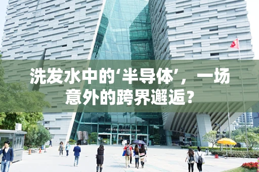 洗发水中的‘半导体’，一场意外的跨界邂逅？