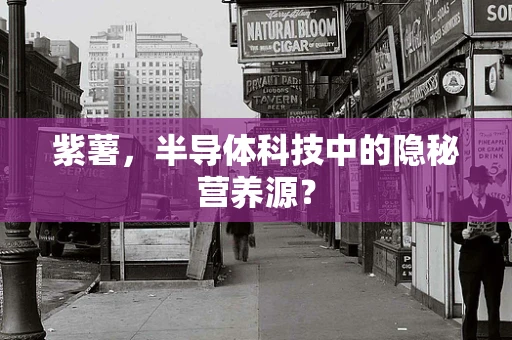 紫薯，半导体科技中的隐秘营养源？