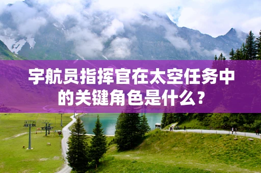 宇航员指挥官在太空任务中的关键角色是什么？