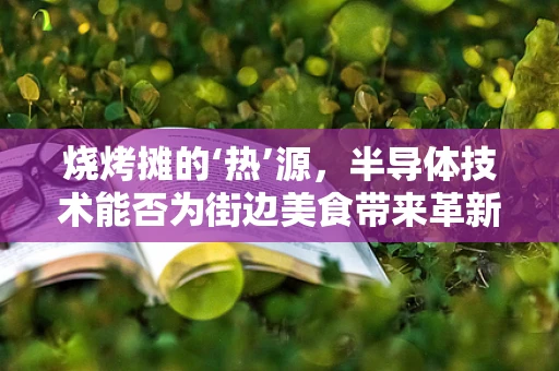 烧烤摊的‘热’源，半导体技术能否为街边美食带来革新？