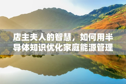 店主夫人的智慧，如何用半导体知识优化家庭能源管理？