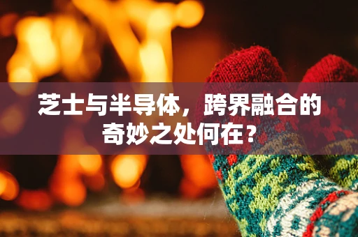 芝士与半导体，跨界融合的奇妙之处何在？