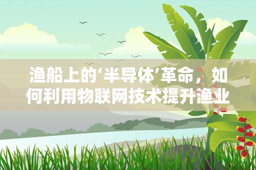 渔船上的‘半导体’革命，如何利用物联网技术提升渔业效率？