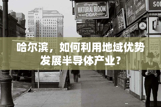 哈尔滨，如何利用地域优势发展半导体产业？