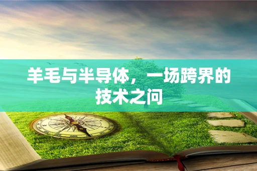 羊毛与半导体，一场跨界的技术之问
