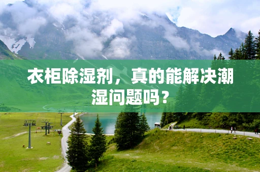衣柜除湿剂，真的能解决潮湿问题吗？