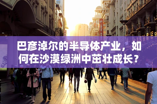 巴彦淖尔的半导体产业，如何在沙漠绿洲中茁壮成长？