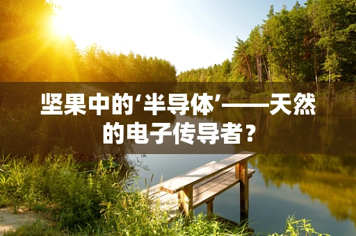 坚果中的‘半导体’——天然的电子传导者？