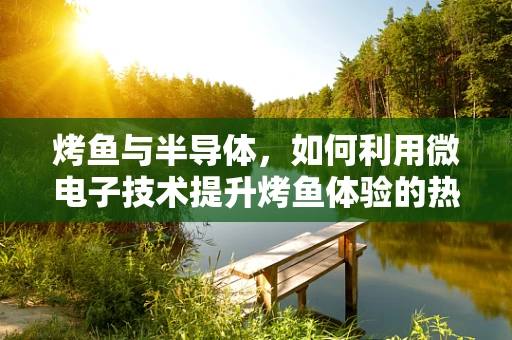 烤鱼与半导体，如何利用微电子技术提升烤鱼体验的热效率？