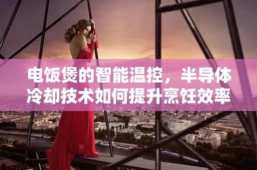 电饭煲的智能温控，半导体冷却技术如何提升烹饪效率？