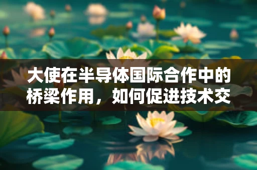 大使在半导体国际合作中的桥梁作用，如何促进技术交流与市场拓展？
