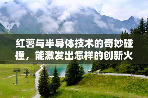 红薯与半导体技术的奇妙碰撞，能激发出怎样的创新火花？