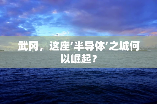 武冈，这座‘半导体’之城何以崛起？