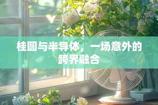 桂圆与半导体，一场意外的跨界融合