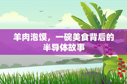 羊肉泡馍，一碗美食背后的半导体故事