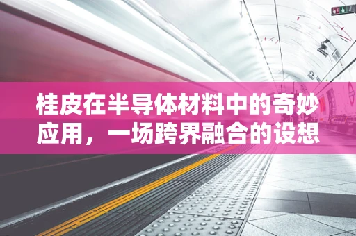桂皮在半导体材料中的奇妙应用，一场跨界融合的设想