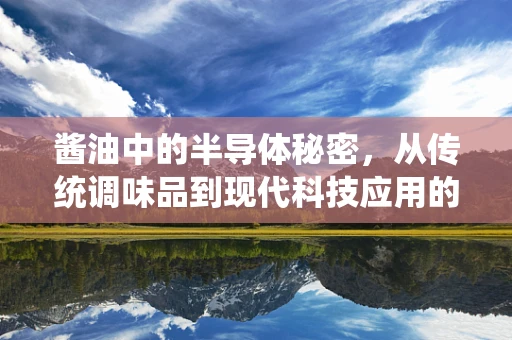 酱油中的半导体秘密，从传统调味品到现代科技应用的跨界探索