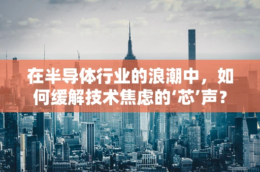 在半导体行业的浪潮中，如何缓解技术焦虑的‘芯’声？