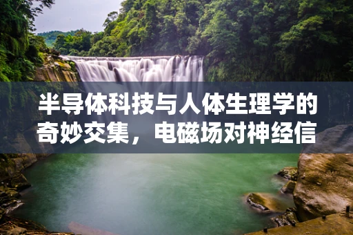 半导体科技与人体生理学的奇妙交集，电磁场对神经信号传导的影响