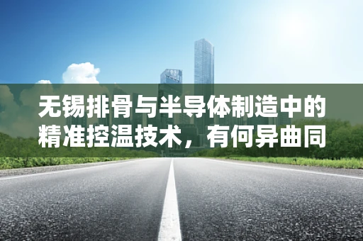 无锡排骨与半导体制造中的精准控温技术，有何异曲同工之妙？