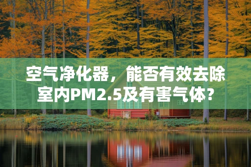 空气净化器，能否有效去除室内PM2.5及有害气体？