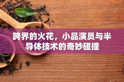 跨界的火花，小品演员与半导体技术的奇妙碰撞