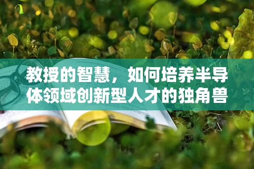 教授的智慧，如何培养半导体领域创新型人才的独角兽