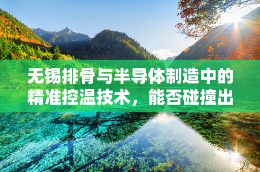 无锡排骨与半导体制造中的精准控温技术，能否碰撞出创新火花？